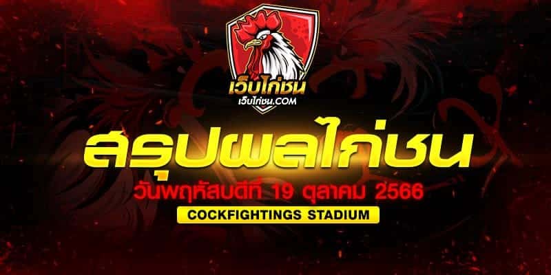 สรุปผลการแข่งขัน ไก่ชน