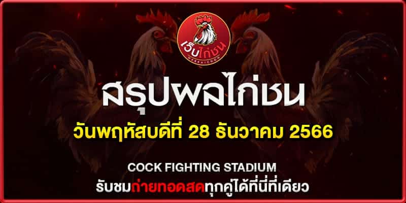 เบิ่ง ไก่ชน