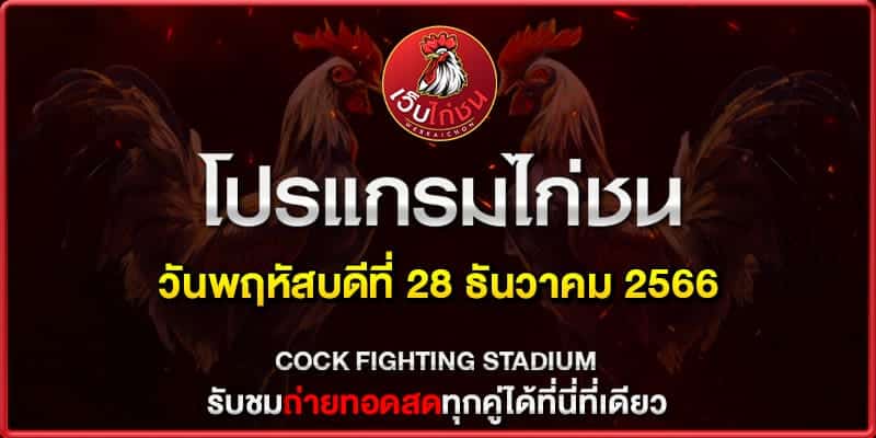 ไก่ชนทีเด็ด