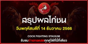 ดูไก่ชนย้อนหลัง