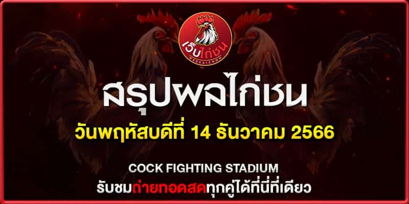 ดูไก่ชนย้อนหลัง