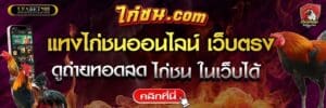 การพนันไก่ชน