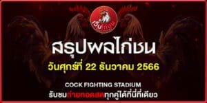 ไก่ชนวันนี้