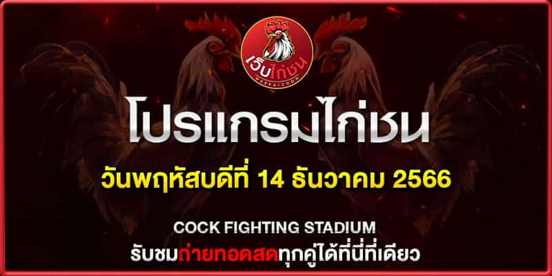 เทปไก่ชนเงินล้านล่าสุด ถ่ายทอดสด