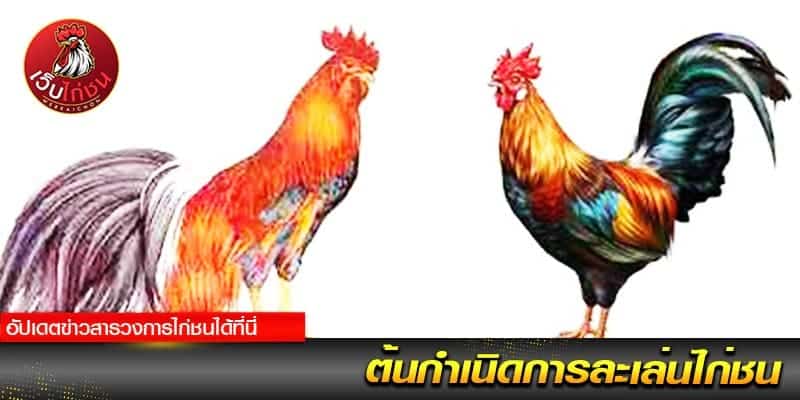 ต้นกำเนิดไก่ชน