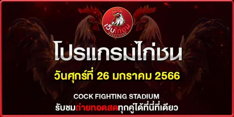 โปรแกรมไก่ชน เสาร์นี้260167