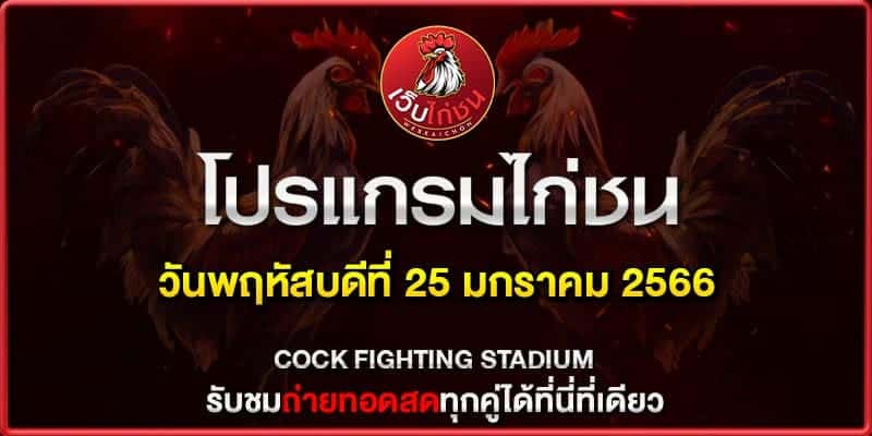 สรุปผลไก่ชนล่าสุด250167