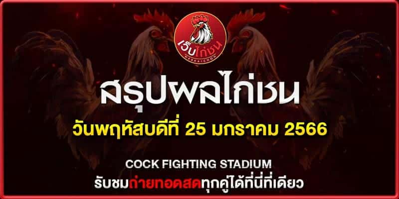 ไก่ชนใต้ ไก่เดือย 250167