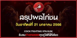 ไก่ชนออนไลน์ สนามเทิดไท