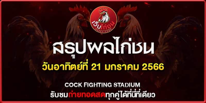 ไก่ชนออนไลน์ สนามเทิดไท