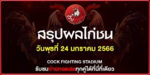 ผลไก่ชน ออนไลน์ 240167