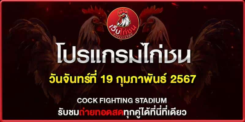 ไก่ชน คู่ล้าน190267