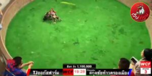 เทปไก่ชนย้อนหลัง57