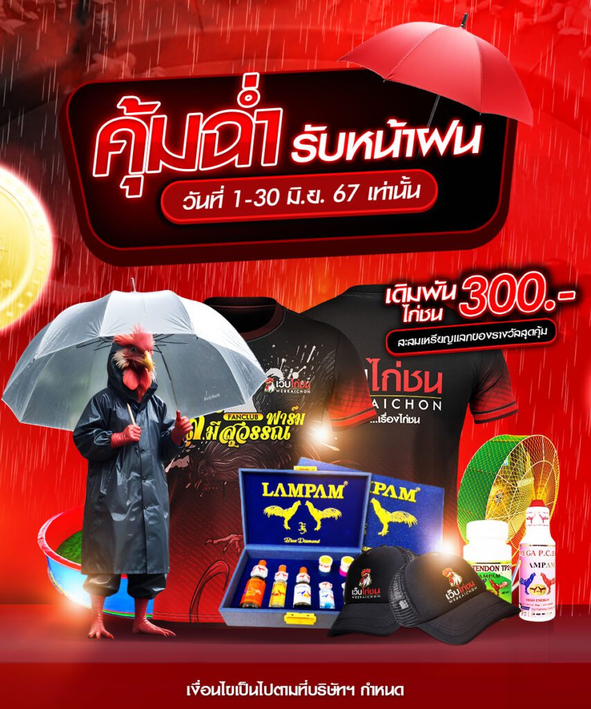 โปรโมชั่นเว็บไก่ชน