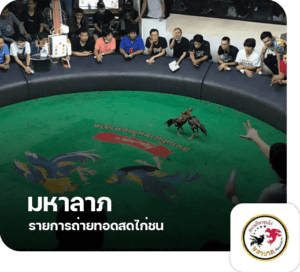 11.สนามมหาลาภ