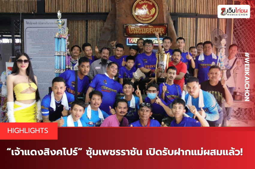 เจ้าแดงสิงคโปร์ ซุ้มเพชรราชัน เปิดรับฝากแม่ผสมแล้ว!