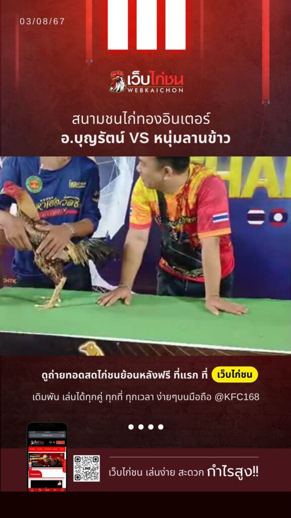 ไก่ชนอินเตอร์