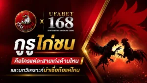 กูรูไก่ชน แต่ละสายเก่งด้านไหน วิเคราะห์น่าเชื่อถือมั้ย