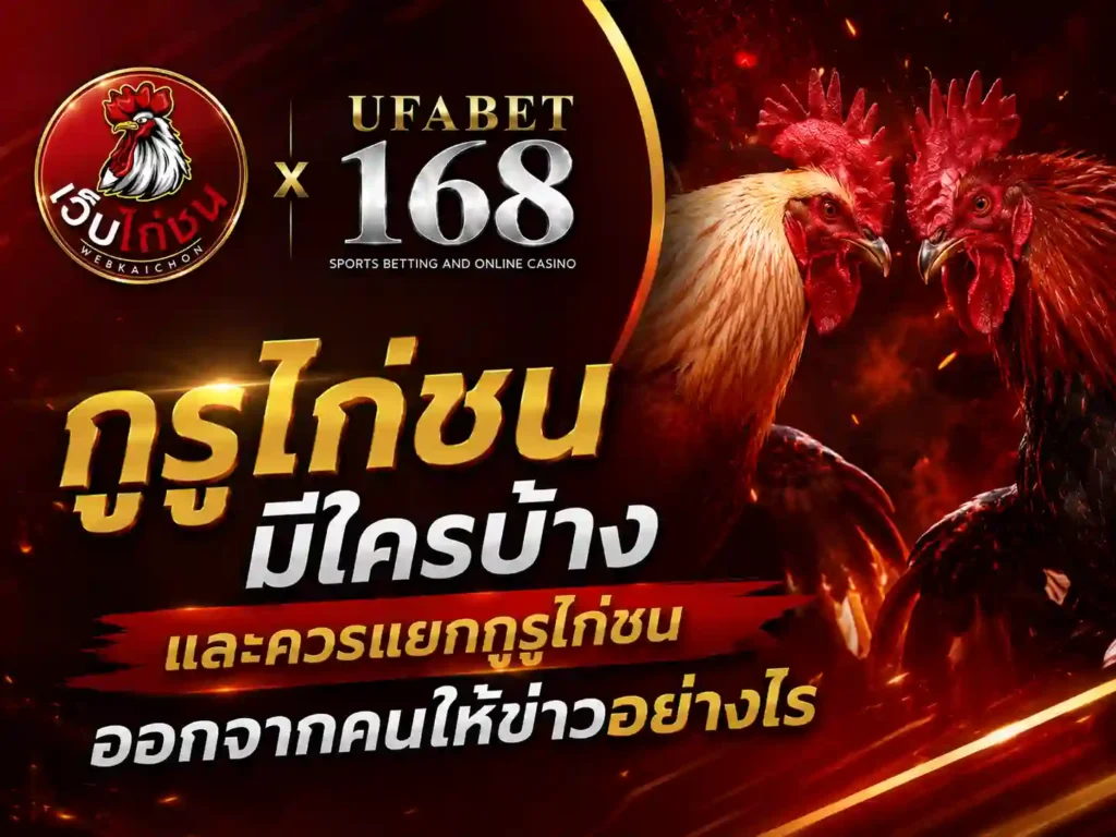กูรูไก่ชน มีใครบ้าง แยกกูรูไก่ชนจากคนให้ข่าวอย่างไร