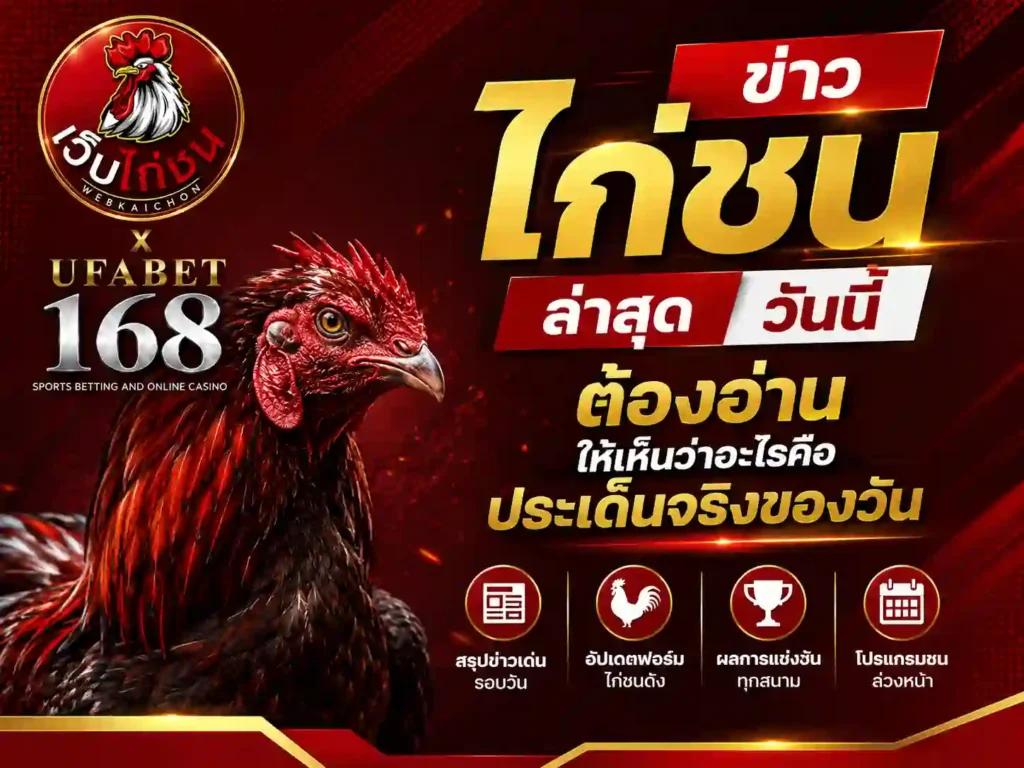 ข่าว ไก่ชนล่าสุดวันนี้ ต้องอ่านให้เห็นว่าอะไรคือประเด็น