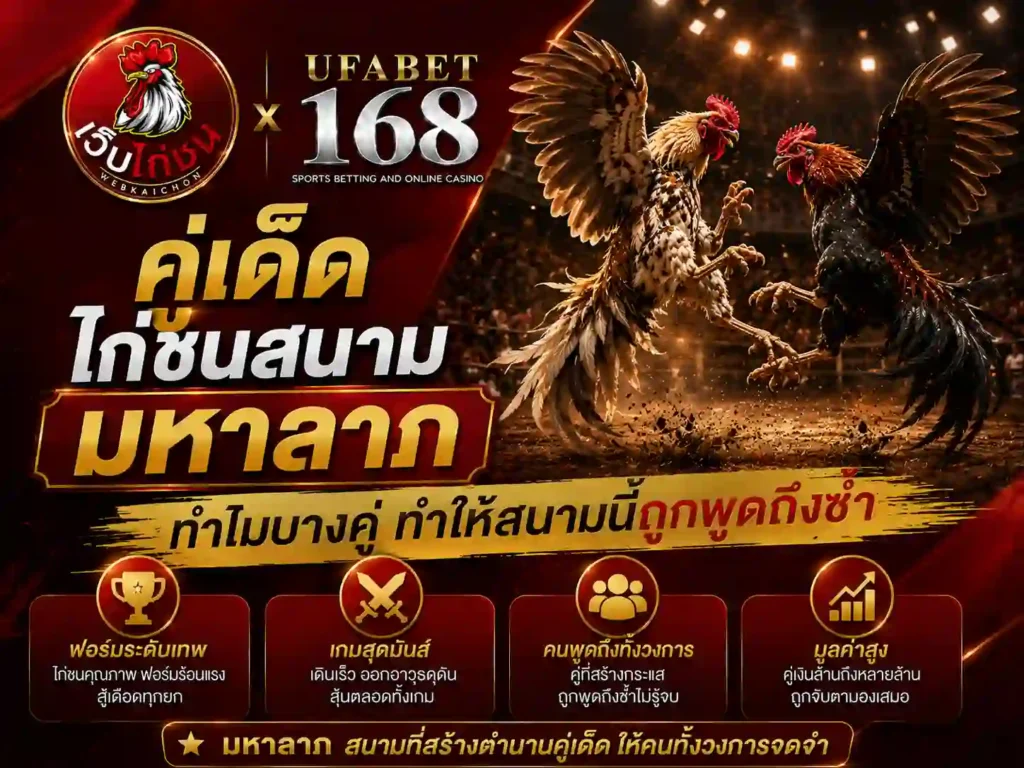 คู่เด็ด สนามชนไก่มหาลาภ