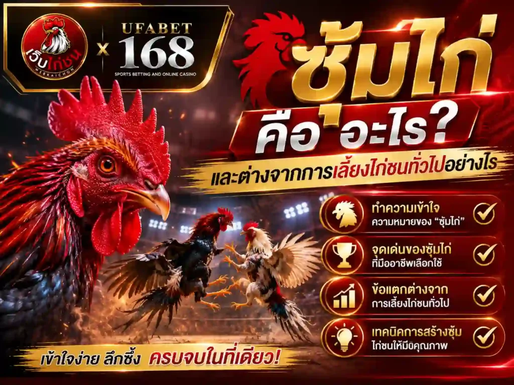 ซุ้มไก่ คืออะไร ต่างจากเลี้ยงไก่ชนทั่วไปอย่างไร