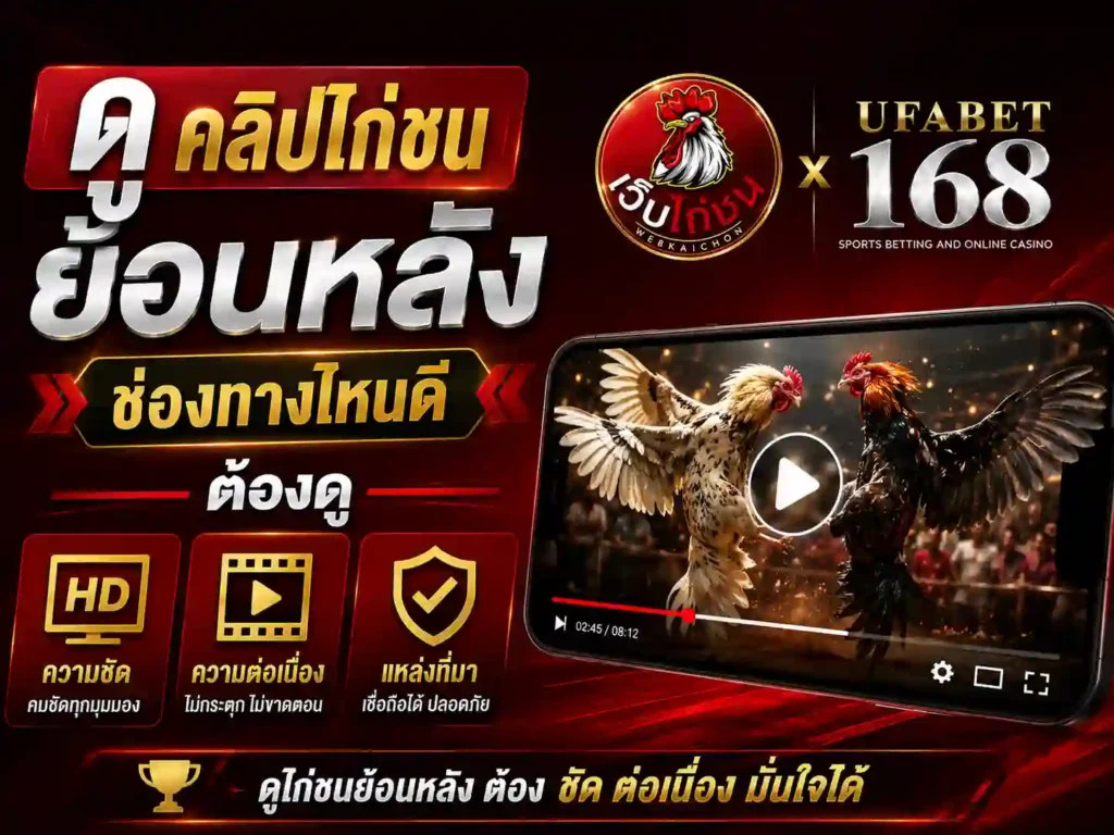ดู คลิปไก่ชนย้อนหลัง ช่องทางไหนดี