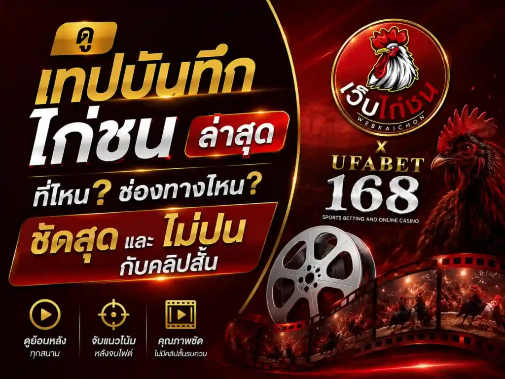 ดู เทปบันทึก ไก่ชน ล่าสุด ช่องทางไหนชัดสุด