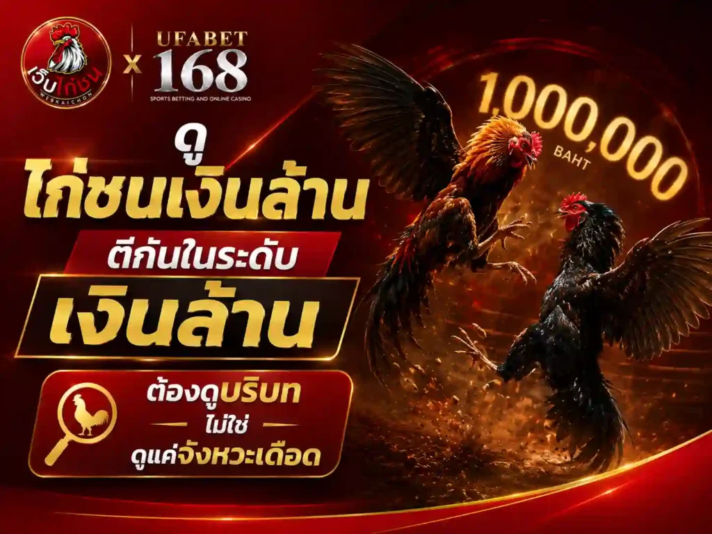 ดู ไก่ชนเงินล้าน ต้องดูบริบท ไม่ใช่แค่จังหวะ
