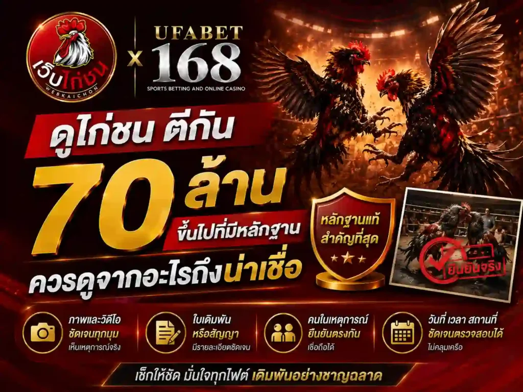 ดูไก่ชน ตีกัน 70 ล้าน ควรดูจากอะไรถึงน่าเชื่อ