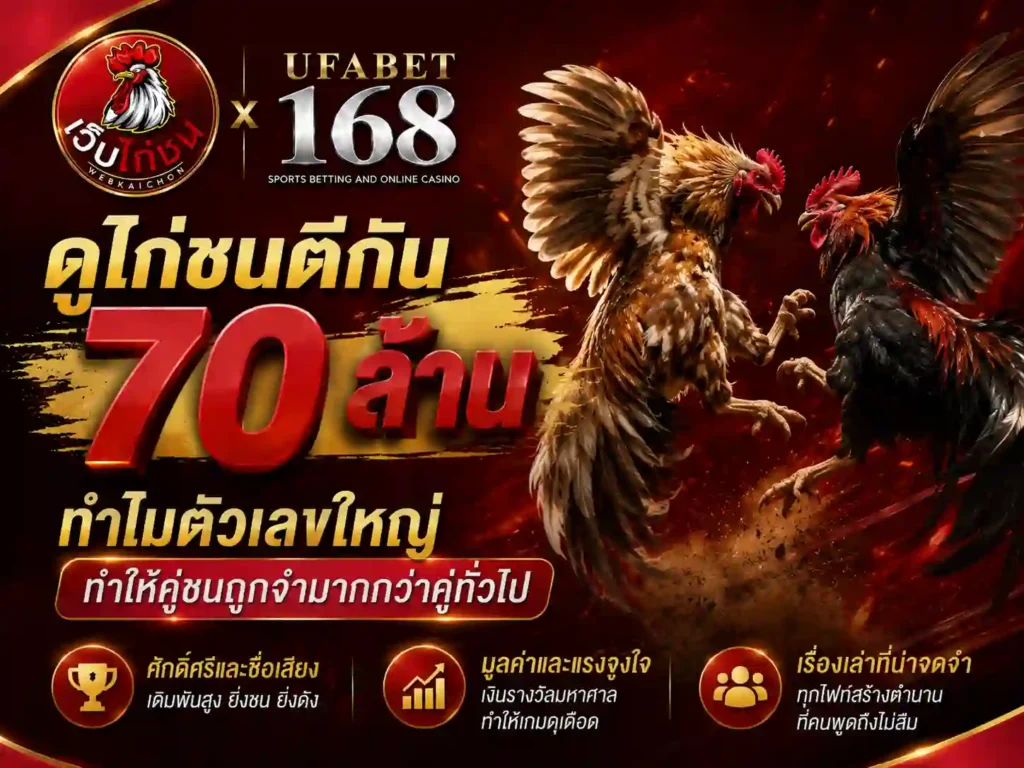 ดูไก่ชนตีกัน 70 ล้าน ถูกจำมากกว่าคู่ทั่วไป