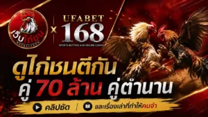 ดูไก่ชนตีกัน คู่ 70 ล้าน คู่ตำนาน คลิปชัด เรื่องเล่า