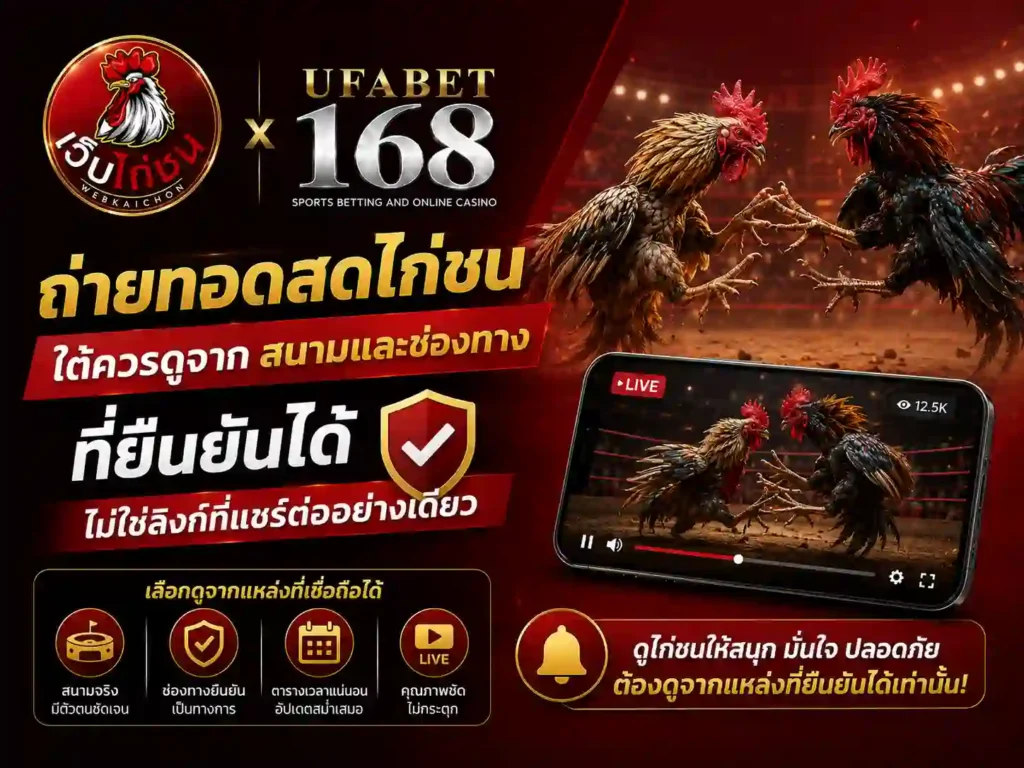 ถ่ายทอดสดไก่ชน ใต้ควรดูจากสนาม ช่องทางที่ยืนยันได้