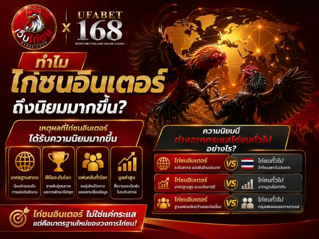 ทำไม ไก่ชนอินเตอร์ ถึงนิยมมากขึ้น