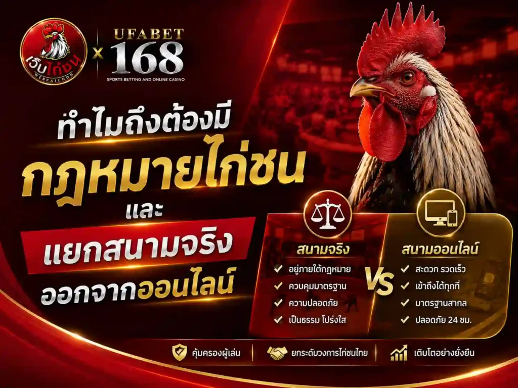 กฎหมาย ไก่ชนไทย แยกสนามจริงออกจากออนไลน์
