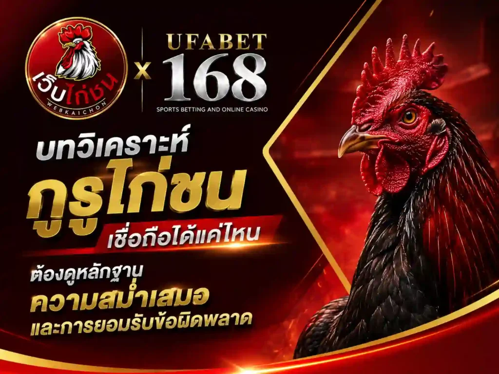 บทวิเคราะห์ กูรูไก่ชน เชื่อถือได้แค่ไหน