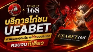 ภาพรวม บริการไก่ชน UFABET ครบจบที่เดียว