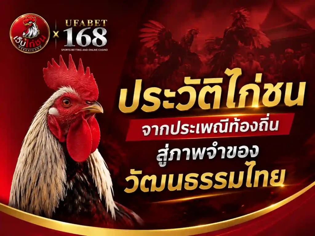 ประวัติ ไก่ชนไทย ประเพณีสู่วัฒนธรรมไทย