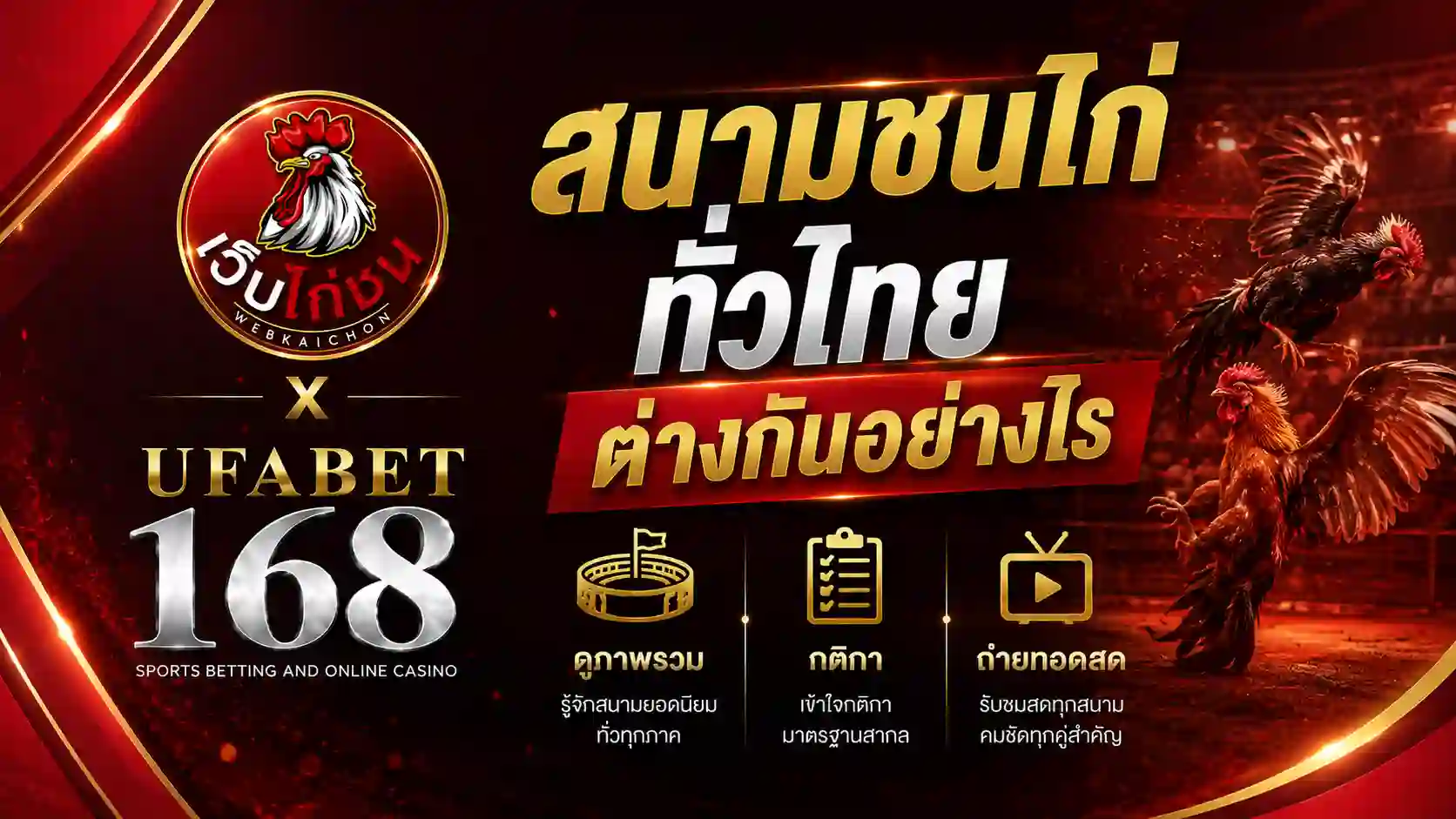 สนามชนไก่ ทั่วไทยต่างกันอย่างไร ดูภาพรวม