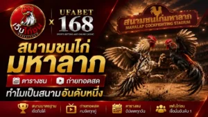 สนามชนไก่มหาลาภ ตารางชน ถ่ายทอดสด
