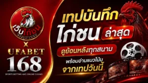 เทปบันทึก ไก่ชน ล่าสุด ดูย้อนหลังทุกสนาม