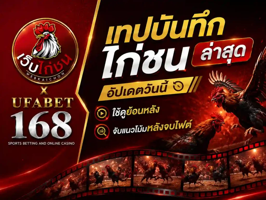 เทปบันทึก ไก่ชน ล่าสุด อัปเดตวันนี้ ใช้ดูย้อนหลัง