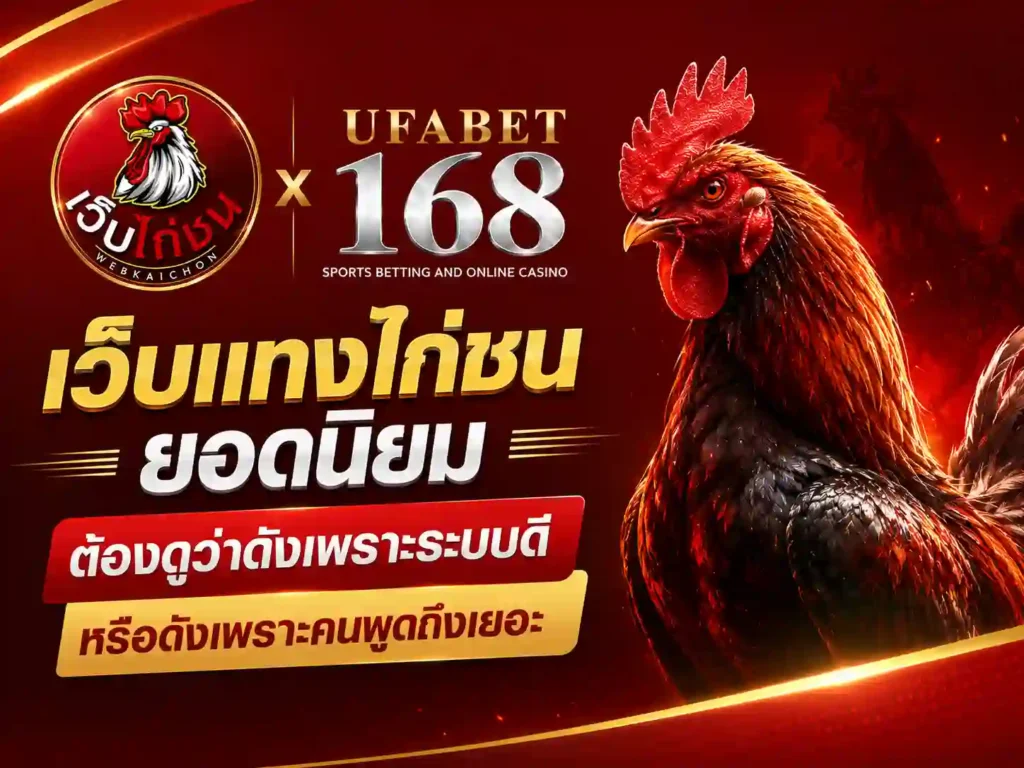 เว็บแทงไก่ชน ยอดนิยมต้องดูระบบดี หรือคนพูดถึงเยอะ