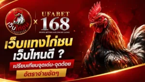 เว็บแทงไก่ชน เว็บไหนดี เปรียบเทียบจุดเด่น-จุดด้อย
