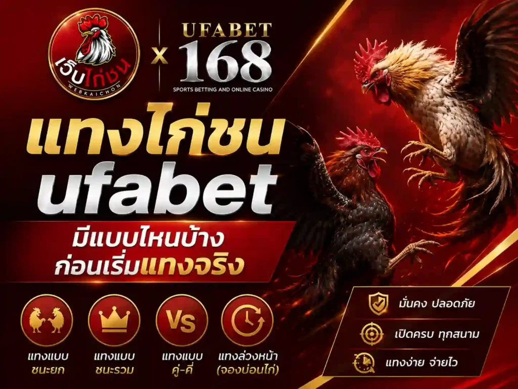 แทงไก่ชน ufabet มีแบบไหนบ้างก่อนแทงจริง