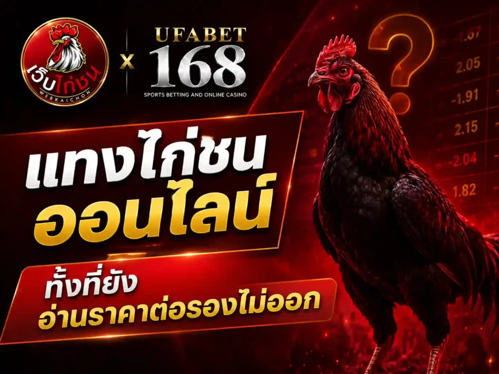 แทงไก่ชนออนไลน์ ทั้งอ่านราคาต่อรองไม่ออก