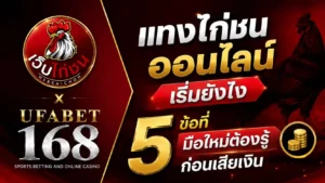 แทงไก่ชนออนไลน์ เริ่มยังไง 5 ข้อที่มือใหม่ต้องรู้