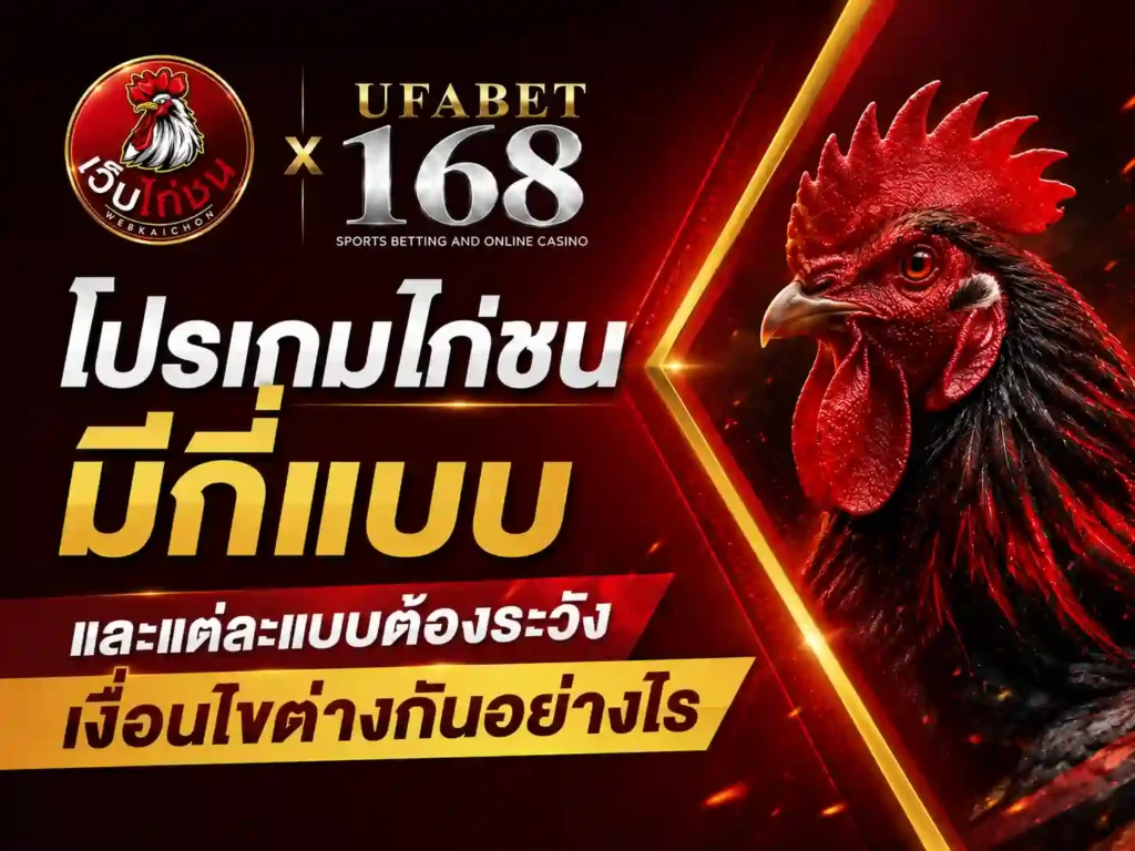 โปรเกมไก่ชน มีกี่แบบ เงื่อนไขต่างกันอย่างไร