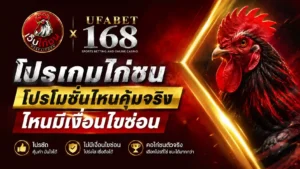 โปรเกมไก่ชน โปรโมชั่นไหนคุ้มจริง-ไหนมีเงื่อนไข