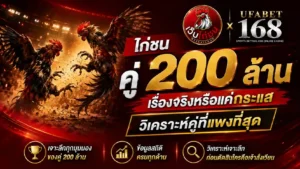 วิเคราะห์ ไก่ชน คู่ 200 ล้าน เรื่องจริงหรือกระแส